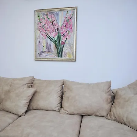 Apartament Delfin Warna